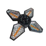 رقص نور مانتیس زنبوري ٤ پر