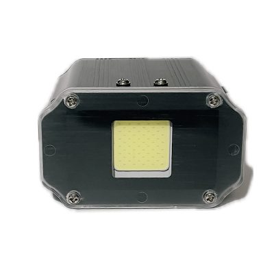 فلشر 20 وات رنگی COB